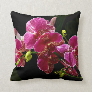 Coussin Orchidées magenta en fleurs