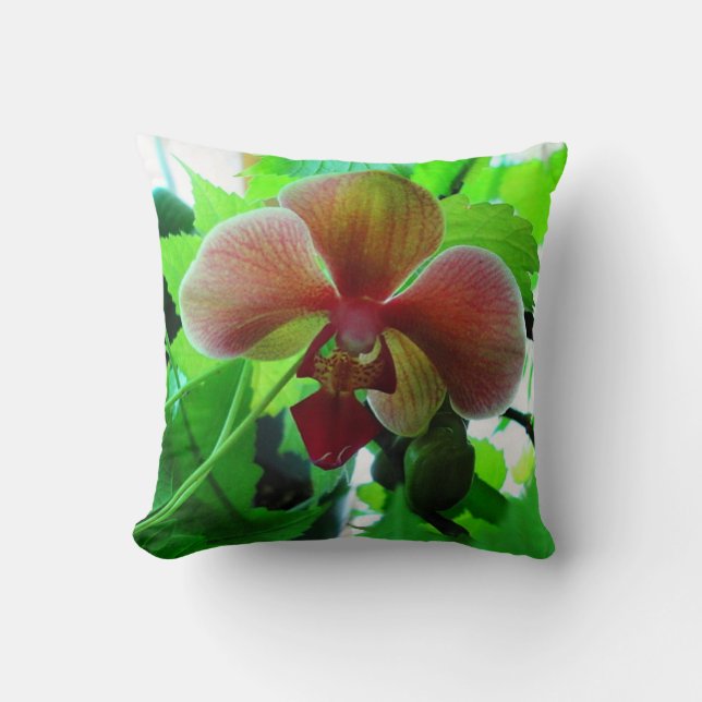 Coussin Oreiller, belle photographie d'orchidée Phalaenops (Recto)
