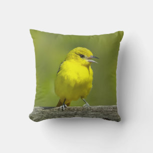 Coussin Oriole de Baltimore - Photographie originale