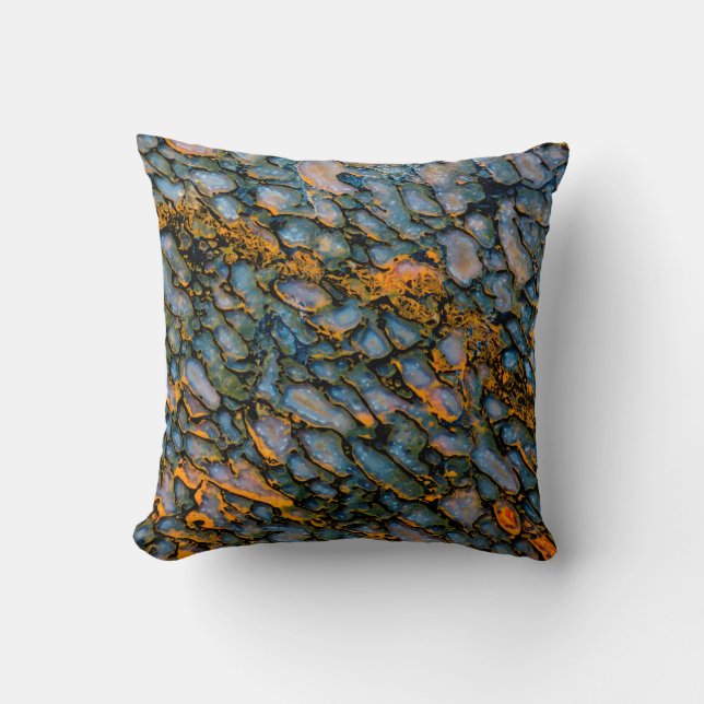 Coussin Os de dinosaure pétrifié (Recto)