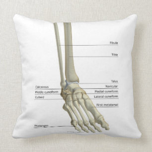 Coussin Os du pied 6