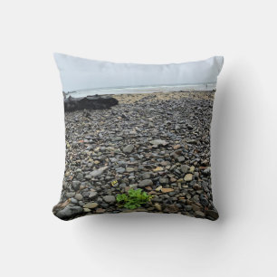 Coussin Oswald West State Park, Oregon Coast