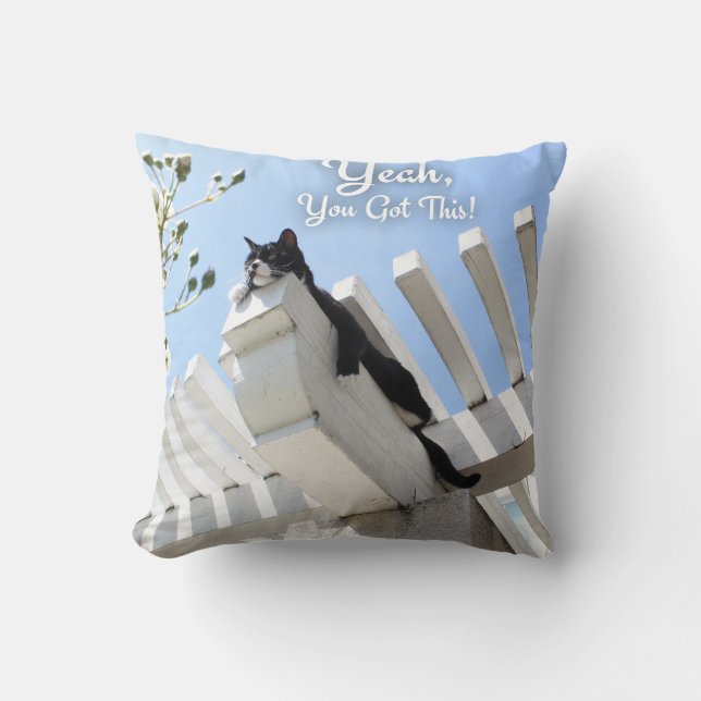 Coussin Ouais, Vous Avez Ce Chat Encourageant Slogan (Recto)
