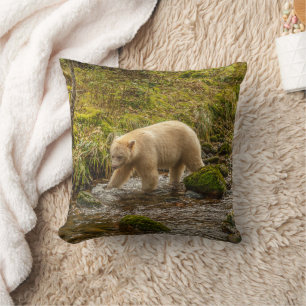 Coussin Ours blanc cherche des poissons dans le ruisseau R