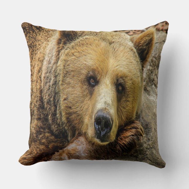 Coussin Ours Brun Sauvage (Recto)