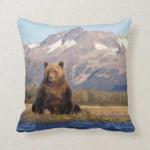 Coussin ours brun, Ursus arctos, grizzli, Ursus