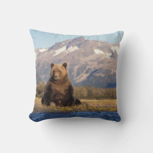 Coussin ours brun, Ursus arctos, grizzly, Ursus