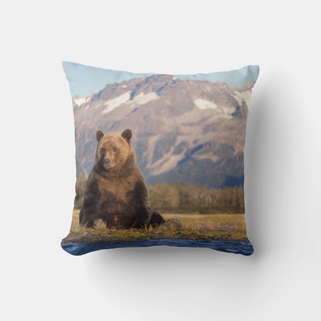 Coussin ours brun, Ursus arctos, grizzly, Ursus (Recto)
