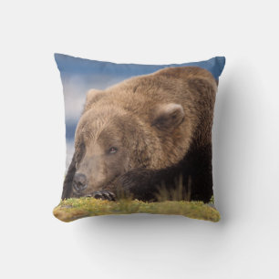Coussin ours brun, Ursus arctos, grizzly, Ursus 8