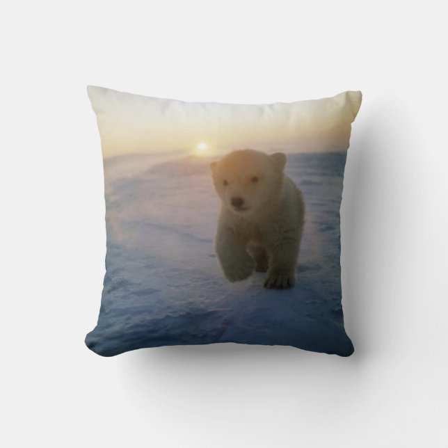 Coussin Ours CUB de #2-Polar (Recto)