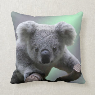 Coussin Ours de koala