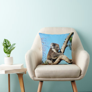 Coussin Ours De Koala Dans L'Ancien Pin,