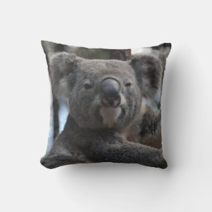 Coussin Ours de Koala dans l'arbre