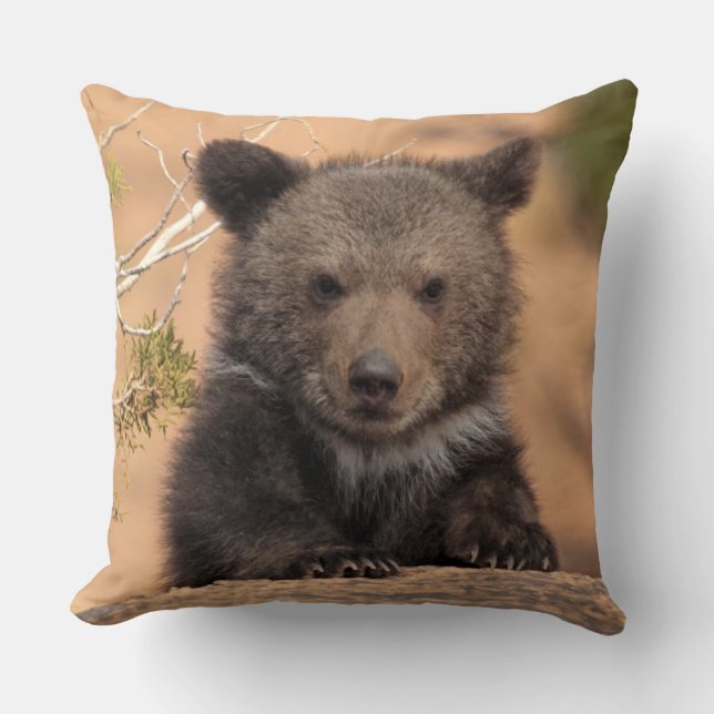 Coussin Ours gris CUB (Recto)