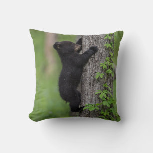 Coussin Ours jeune grimpant à un arbre