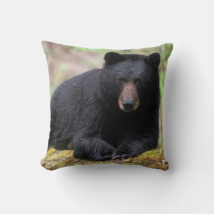 Coussin Ours noir sur une vieille bille de croissance dans