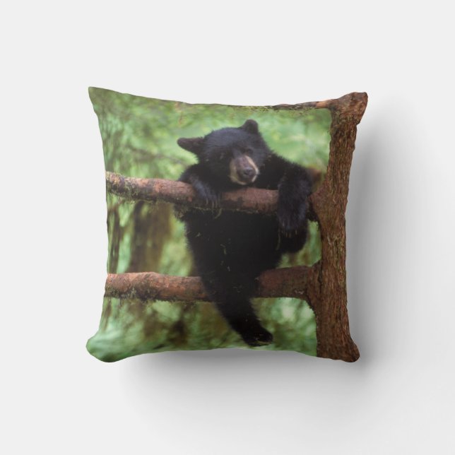 Coussin ours noir, Ursus americanus, ourson dans un arbre (Recto)