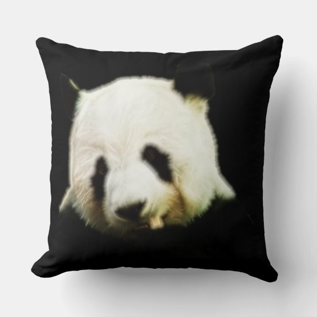 Coussin Ours Panda (Recto)