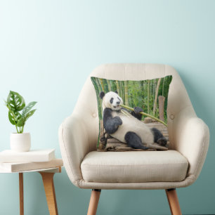 Coussin Ours panda mâchant une tige de bambou