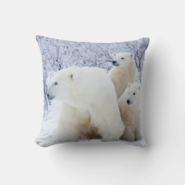 Coussin Ours polaires et deux oursons (Recto)