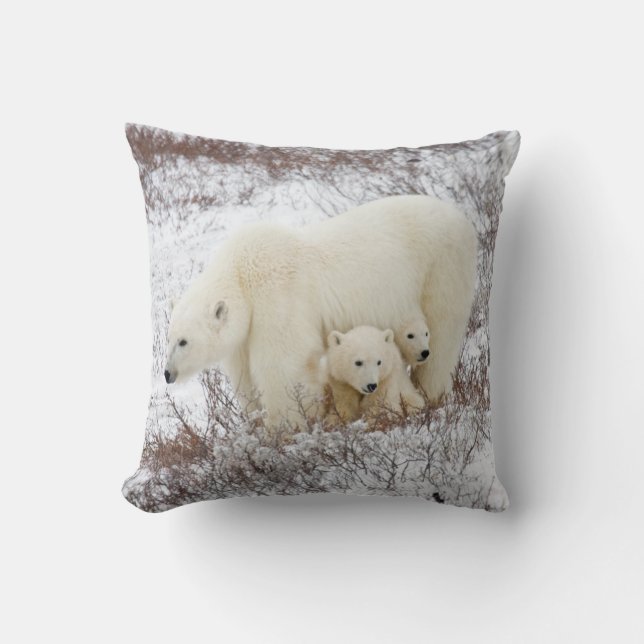 Coussin Ours polaires femelle et deux oursons (Recto)