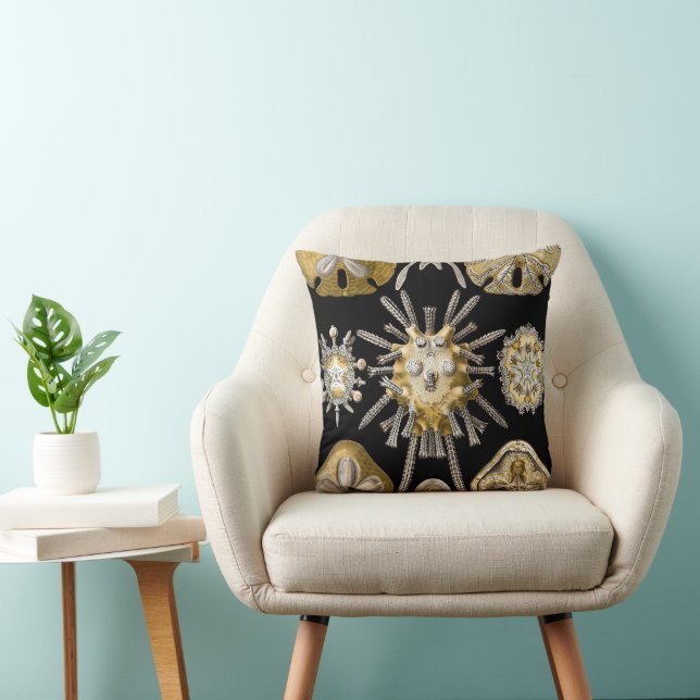 Coussin Oursins de mer anciens dollars de sable par Ernst  (Chaise)