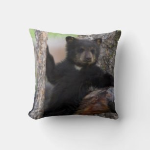Coussin Ourson ours noir se reposant