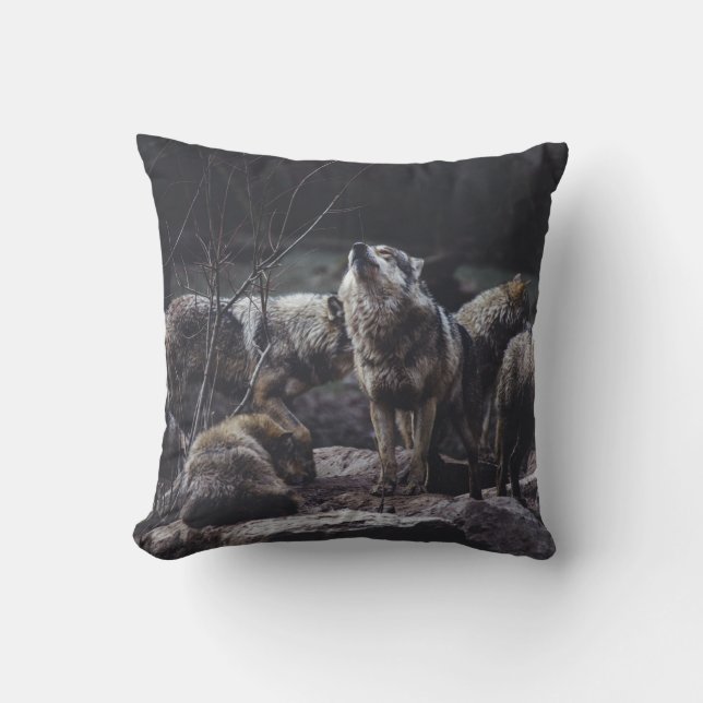 COUSSIN PACK DE LOUPS EN FORMATION ROCK (Recto)