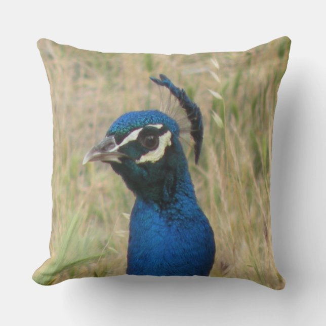 Coussin Pacock (Recto)