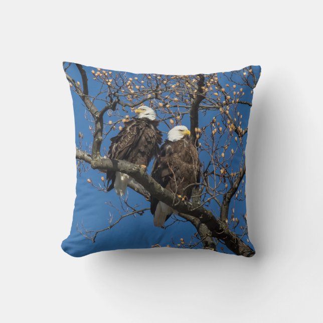 Coussin Paire d'aigle à tête blanche (Recto)