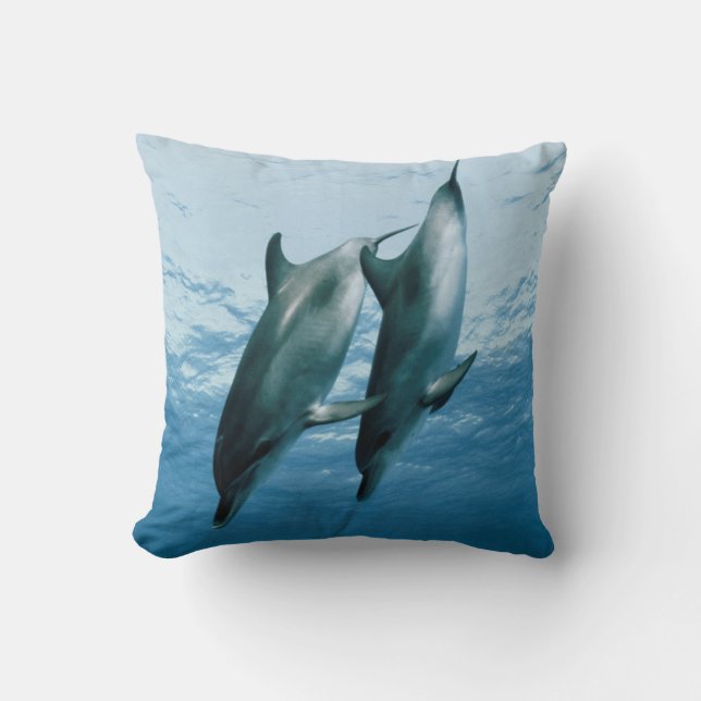 Coussin Paire de dauphins (Recto)