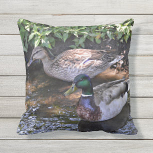 Coussin Paires de canards joints de Mallard