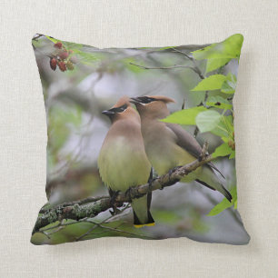 Coussin Paires de jaseurs de cèdre