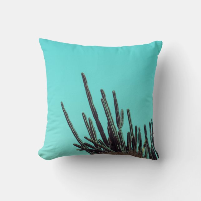 Coussin Pale Green Cactus Succulent minimalisme Plante (Recto)