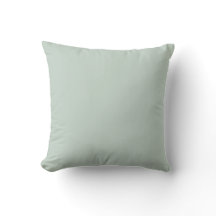 Pale Mint Vert Couleur Solide Trending Trending
