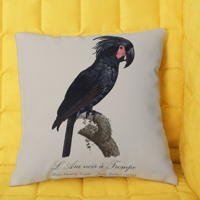 Coussin Palmisano à tête noire, perroquet Probosciger ater (L' Ara Noir a Trompe / Palm Cockatoo. Throw Pillow)