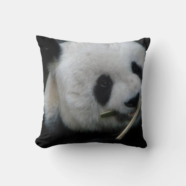 Coussin Panda (Recto)