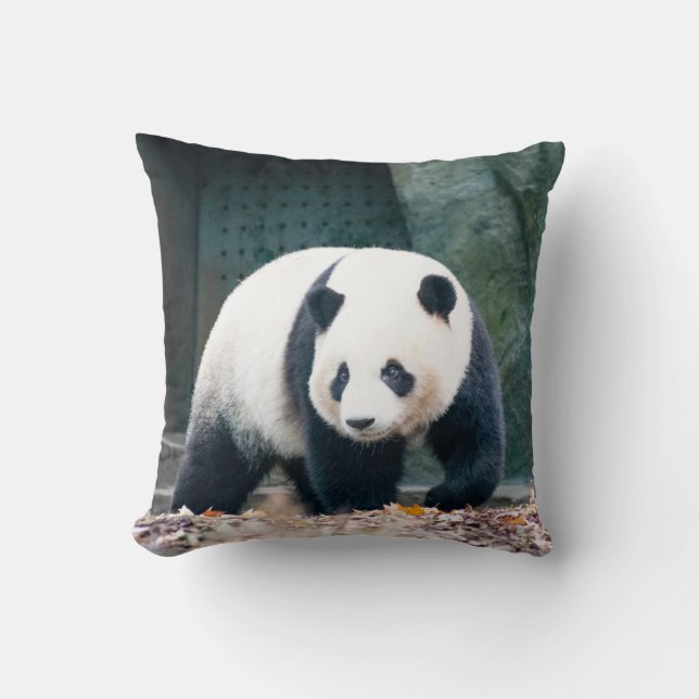 COUSSIN PANDA DE MARCHE DEVANT UN BÂTIMENT EN BÉTON (Recto)