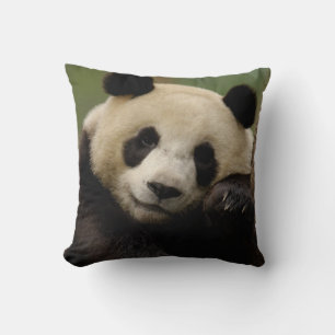 Coussin Panda géant (Ailuropoda melanoleuca) Famille