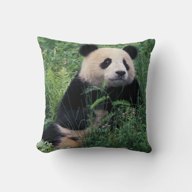 Coussin Panda géant dans l'herbe, vallée de Wolong, Sichua (Recto)