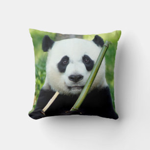 Coussin Panda géant tenant le bambou