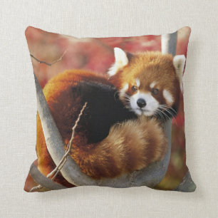 Coussin Panda rouge