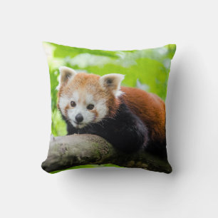 Coussin Panda rouge