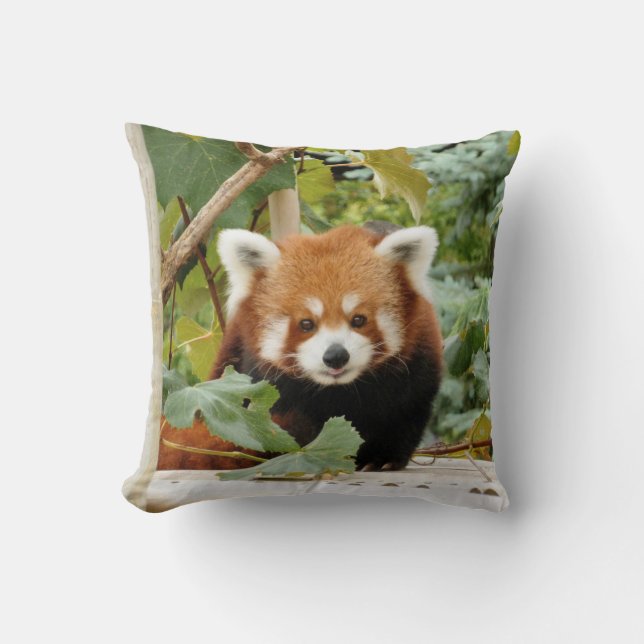 Coussin Panda rouge (Recto)