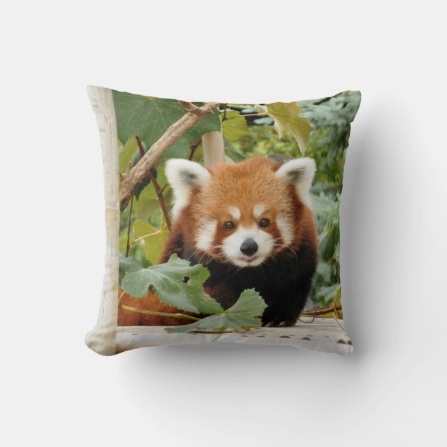 Coussin Panda rouge (Recto)