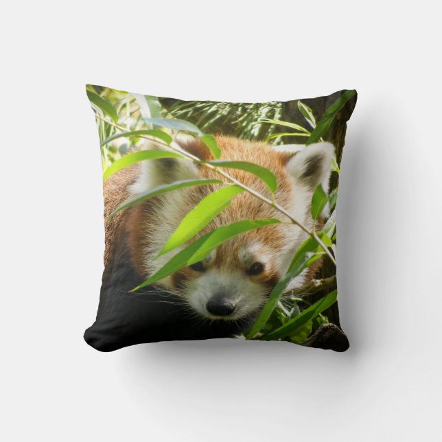 Coussin Panda rouge 415P2 (Recto)
