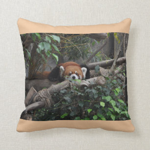 Coussin Panda rouge brillant dans un zoo