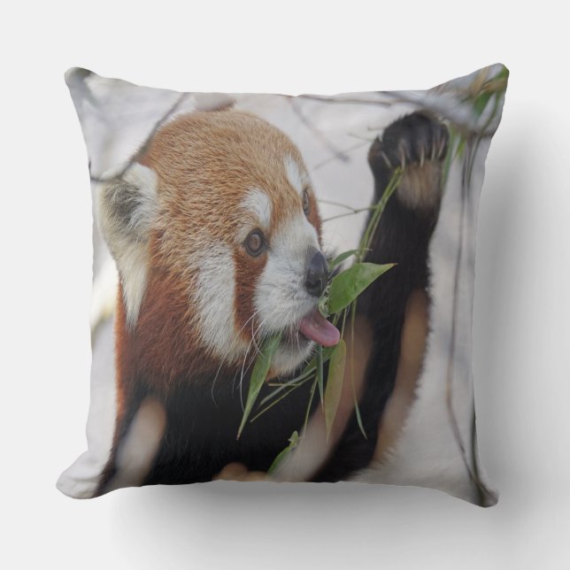 Coussin Panda roux affamé (Recto)