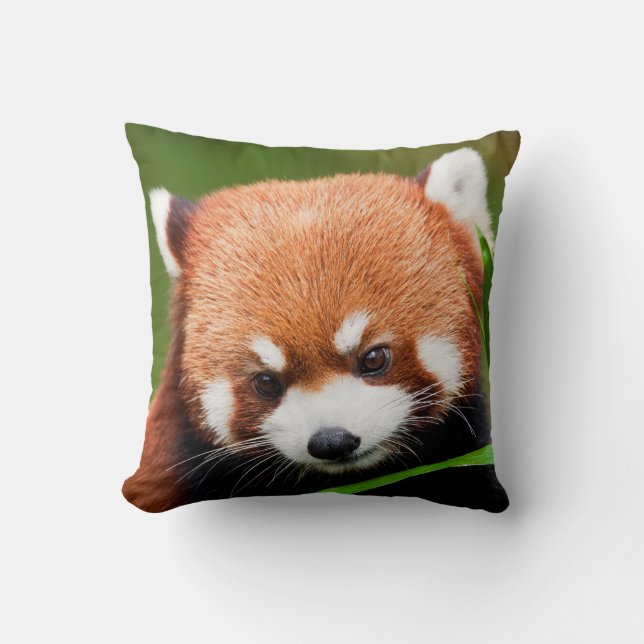 Coussin Panda roux mignon (Recto)