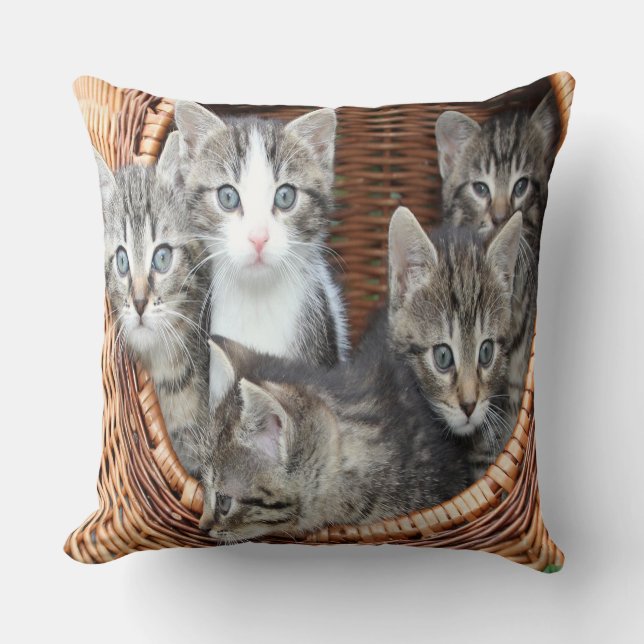 Coussin Panier rempli de chatons (Recto)